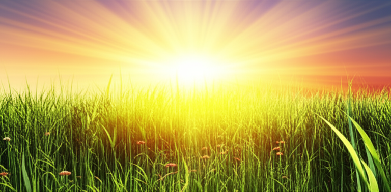 Esperança e Renovação da Fé Sol nascendo sobre um campo verde, simbolizando esperança e renovação