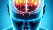 Desvendando a Mente Crente: Evangelho e Neurociência em Harmonia